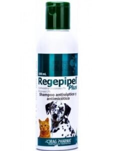 Regepipel Plus