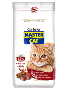Master Cat Adulto Carne 20 Kl